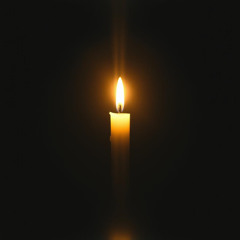 In the Dark