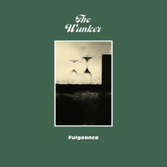 Fulgeance - The Wanker