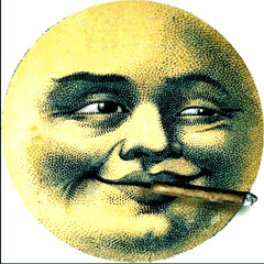 DRUGGINALLNITE [SHMACK, ADAM]