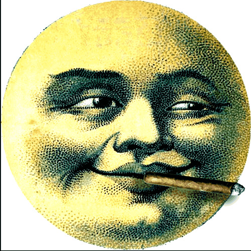 DRUGGINALLNITE [SHMACK, ADAM]