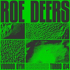 Turbo 214 | Roe Deers - Voodoo Gym
