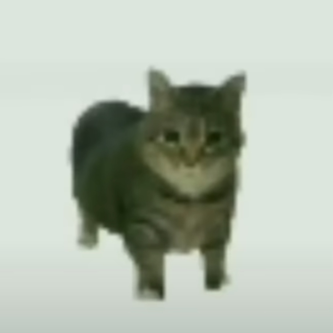 Oiia Image Stream Oiiaioooooiai cat meme psytrance remix by opium member ...