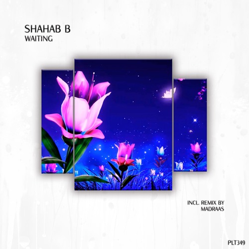 Shahab B - Desert Oasis (Short Edit)