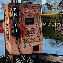 Numbers