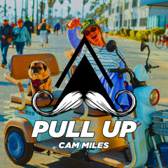 Pull Up (Radio-Edit)