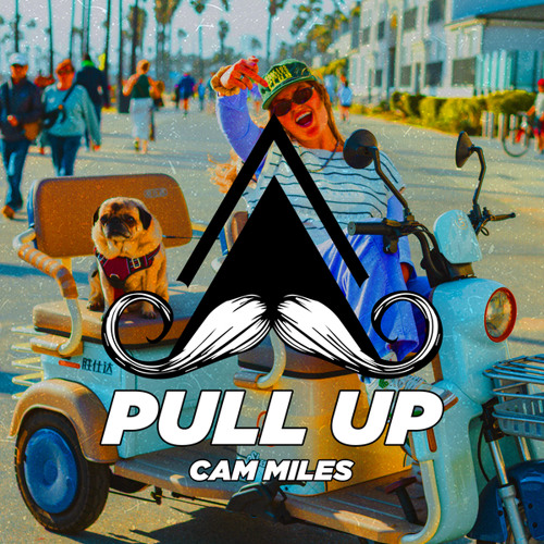Pull Up (Radio-Edit)