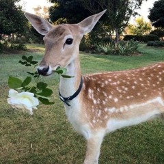 Music that I enjoy 3