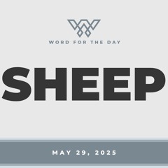 Sheep