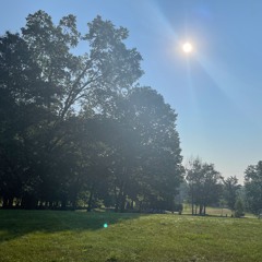 Wanderer Collective #33