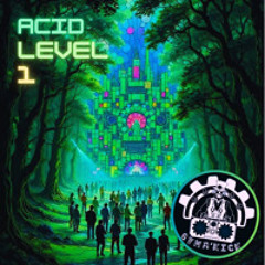 Acid Level 1