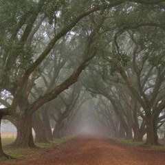 Whispering Spirits