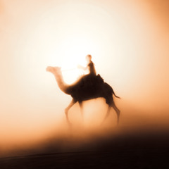 Tifawin n’Dunes - Light of the Sahara Warriors