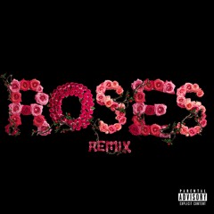 Roses Remix feat. Vocero Omar
