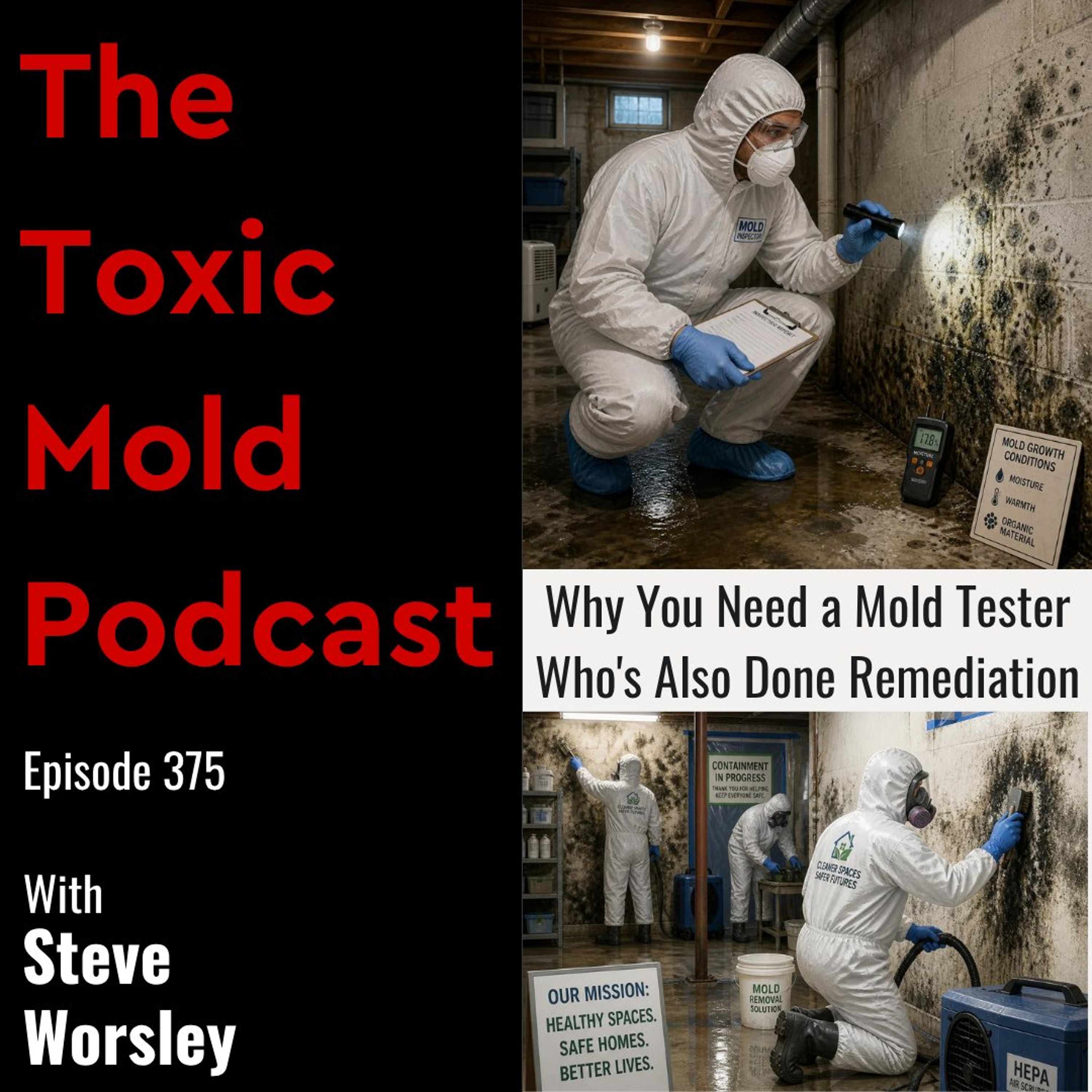 EP 375: Why You Need a Mold Tester Who's Also Done Remediation episode artwork