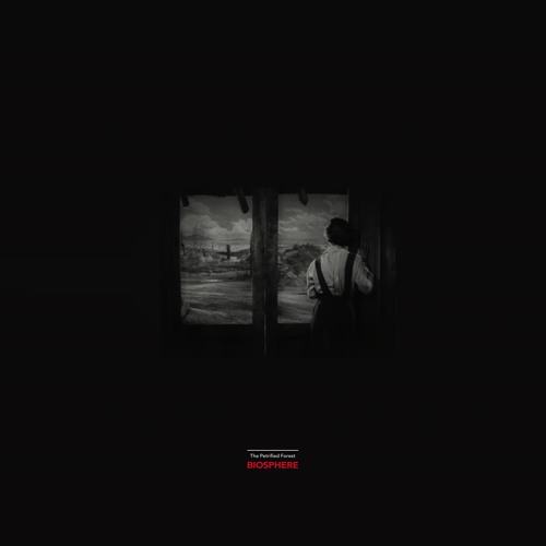 Ambient with Spoken Word - Quiet
