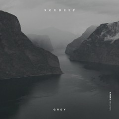 Roudeep - Grey
