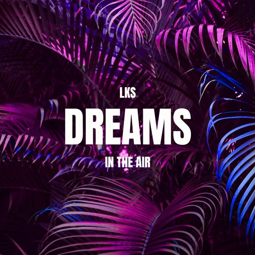Dreams in The Air