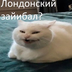 Лондон зайибал
