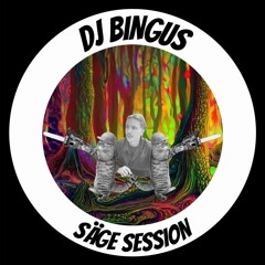 DJBingus - SägeSession