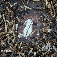 Paolo Angeli - Jar'a - 01 - Ea