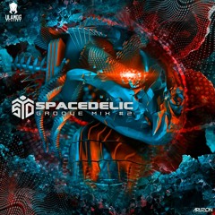 Set - SpaceDelic Groove Mix#2