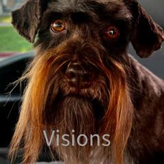 Visions