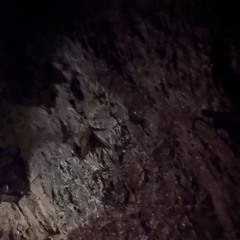Into - The - Well