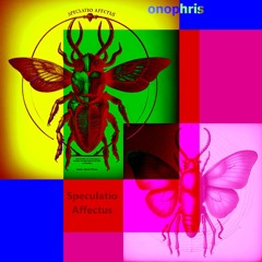 Speculatio Affectus