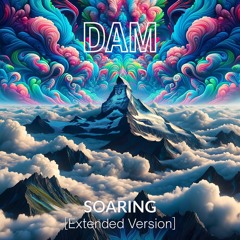 Soaring [Extended Version]