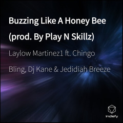 Buzzing Like A Honey Bee (feat. Chingo Bling, Dj Kane & Jedidiah Breeze)
