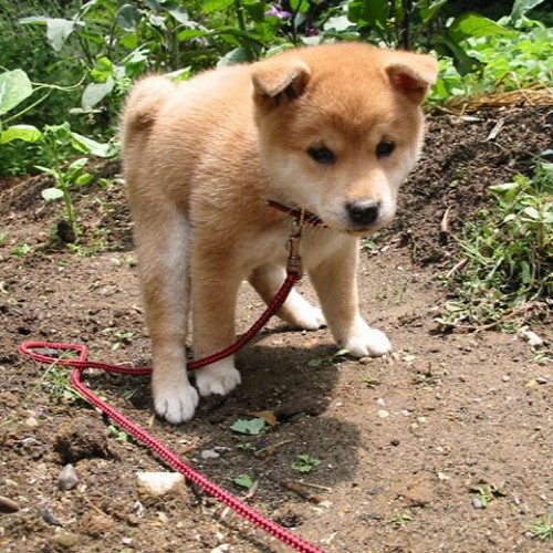 QUAND J'AI FAIT MON CACA PROD.1080PALE