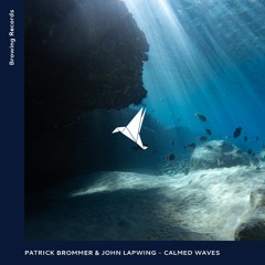 Patrick Brommer & John Lapwing - Calmed Waves (Original Mix)