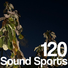 Sound Sports 120 deuve