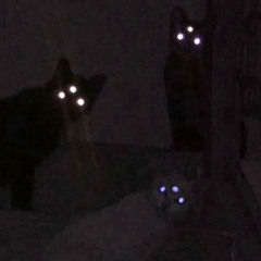 say less shine ( ft. Joy!!, Cypher )