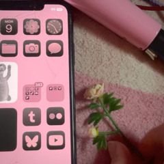 pet✿l’s 1st fr33styl ﾟ｡⋆ (beat by starshine)