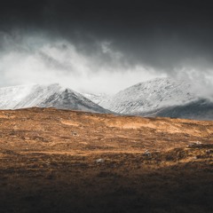 The light in the snow
