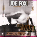 Joe&#x20;Fox What&#x27;s&#x20;The&#x20;Word&#x20;&#x28;Ft.&#x20;Nas&#x29; Artwork