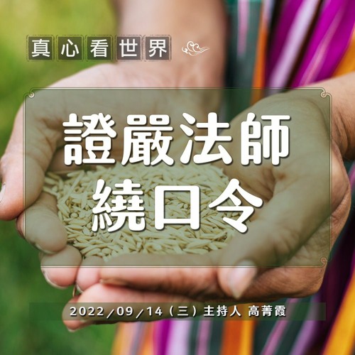 【真心看世界】證嚴法師繞口令