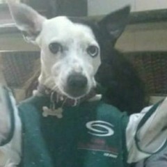 ODEIO CACHORRO FREESTYLE (Japa remix)