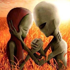 fakeplastictrees.m4a