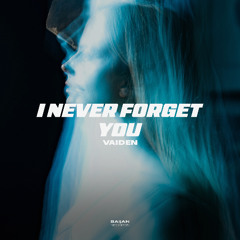 VAIDEN - I Never Forgot You
