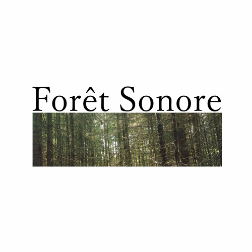 Foret Sonore S3 E1 - Entrez dans le Bain .. de Forêt