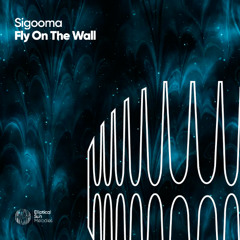 Sigooma - Fly On The Wall