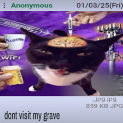 dont visit my grave (prod. nos3bleeed)