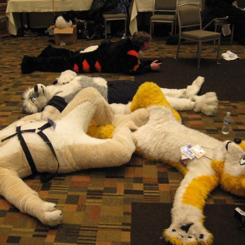 guys this set is making my head hurt