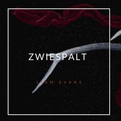 Liam Evans - Zwiespalt