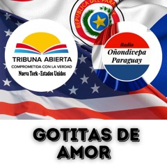 18 08 2024 - GOTITAS DE AMOR- Programa Completo