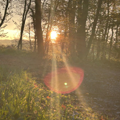 Kontrast @ GP Rettert Need your Luvin like the Sunshine