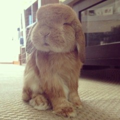 гной-темный принц(cover by utui)