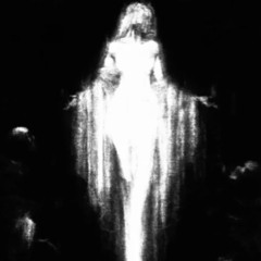 nvidom - m.angel freestyle